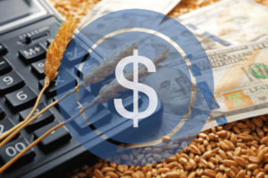 Invest Morocco Agriculture - Business Opportunities in Morocco Farming Invest Morocco Agriculture - Business Opportunities in Morocco Farming